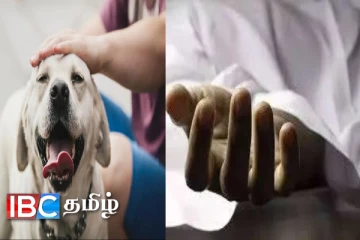 வளர்ப்பு நாயால் மாணவனுக்கு நேர்ந்த துயரம்