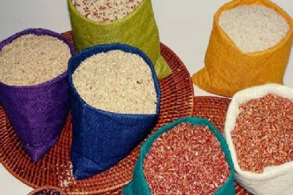 அரிசி தட்டுப்பாடு குறித்து வெளியான தகவல் | Information Released About Rice Shortage