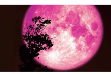 இந்தியாவில் இன்று நள்ளிரவு வானில் தோன்ற உள்ள ‘பிங்க் மூன்’ - விஞ்ஞானிகள் தகவல் - மக்கள் ஆர்வம்