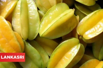 நல்ல செரிமானத்திற்கு இந்த பழத்தை சாப்பிட்டால் உடனே சரியாகுமாம்!