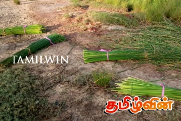 முல்லைத்தீவில் சவால்களை எதிர்கொள்ளும் சிறு கைத்தொழில் முயற்சியாளர்கள்