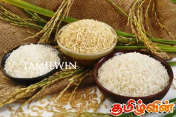 மாபியாக்களினால் திட்டமிட்டு நடத்தப்படும் அரிசி தட்டுப்பாடு