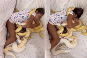 படுக்கையில் பாம்புகளுடன் பின்னிப்பிணைந்து தூங்கும் சிறுமி - பார்ப்பவர்களை பதறவைக்கும் வீடியோ!