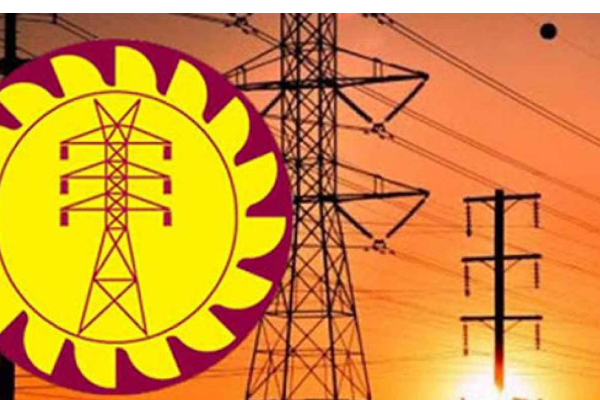 இலங்கை மின்சார சபை ஊழியர்கள் சுகயீன விடுமுறை போராட்டத்தில் | Ceb Employees On Sick Leave Protest