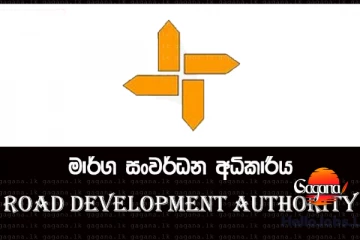 ආයේ කඳුකරයේ අනතුරු වෙන් නෑ - මාර්ග සංවර්ධන අධිකාරියෙන් ක්‍රියාමාර්ගයක්