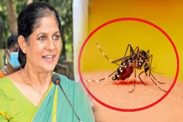 கிழக்கில் டெங்கு பரவும் அபாயம்: ஆளுநர் விடுத்துள்ள எச்சரிக்கை