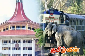 தொடருந்துகளில் யானைகள் மோதுவதற்கு எதிராக அடிப்படை உரிமை மீறல் மனு