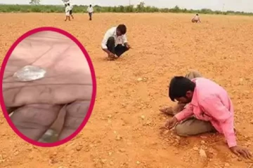 வயலில் கிடைத்த வைரக்கல்; 2 கோடிக்கு விற்பனை - முண்டியத்து தேடும் மக்கள்