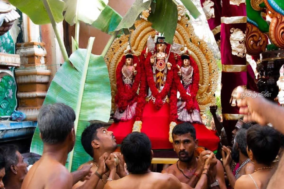ஆயிரக்கணக்கான பக்தர்கள் சூழ நடந்த திருக்கோணேஸ்வரம் ஆலய இரதோற்சவம்! | Thirukoneswaram Temple Rathodsavam