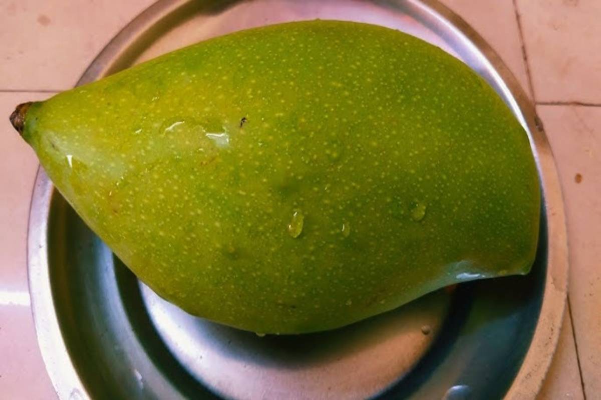 உடலை குளிர்ச்சியாக்கும் மாங்காய் பச்சடி - இப்படி ஒரு தடவ பச்சடி செய்து பாருங்க | Mango Pachadi Recipe Healthy Food