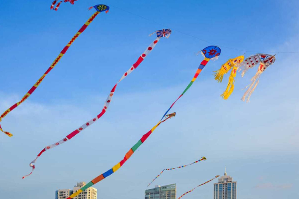 சிறிலங்கா விமானப்படை பொதுமக்களுக்கு விடுத்துள்ள எச்சரிக்கை | Kite Season Air Force Warns Public