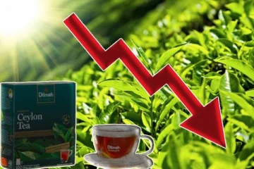 ஐந்து வருடங்களில் குறைவடைந்த இலங்கையின் தேயிலை ஏற்றுமதி