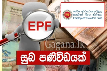 වැඩි පිරිසකට EPF - විශ්‍රාම වැටුප් නෑ කියලා දැන් බය වෙන්න ඕන නෑ.