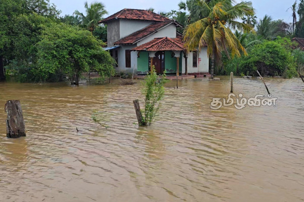 திருகோணமலை மாவட்டத்தில் மீண்டும் வெள்ள அபாயம் - விவசாயிகள் கவலை | Flood Threat Again Trincomalee Farmers Concerned