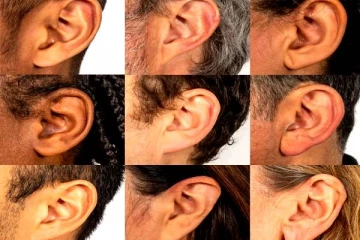 உன் காதின் வடிவத்தை சொல் நீ யாரென்று சொல்கிறேன்.. சாஸ்திர தகவல்கள்!