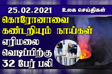 கொரோனாவை கண்டறியும் நாய்கள்..எரிமலை வெடிப்பிற்கு 32 பேர் பலி! உலக செய்திகள் ஒரு பார்வை