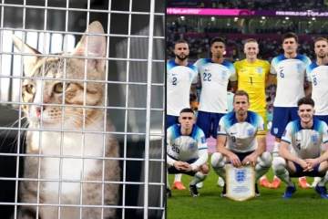 உலகக்கோப்பை கனவு பொய்த்தது., ஆனால் கத்தாரில் இருந்து வெறுங்கையுடன் திரும்பாத இங்கிலாந்து வீரர்கள்!