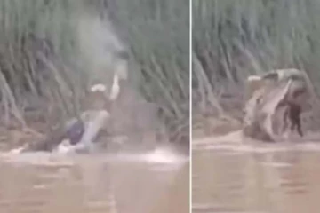 குளித்துக் கொண்டிருந்த பெண்ணை கடித்துக் கொன்ற முதலை.. பதற வைக்கும் காணொளி