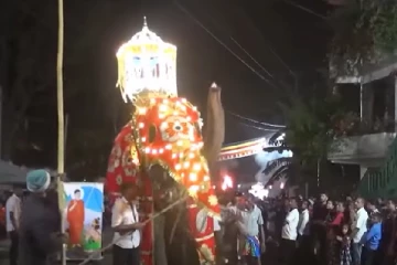 பெரஹெராவில் குழம்பிய யானையால் மக்கள் பதற்றம்!