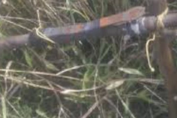 බඳින තුවක්කුවක් පාසල් සිසුවෙකුට පත්තු වෙයි - බරපතළ තුවාල ලබා සිසුවා රෝහලේ..