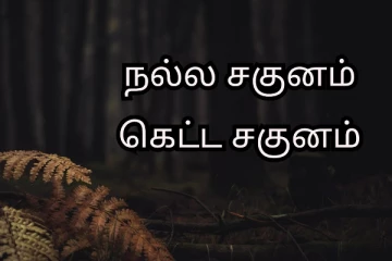 நல்ல சகுனம் கெட்ட சகுனம் எப்படி கண்டுபிடிப்பது