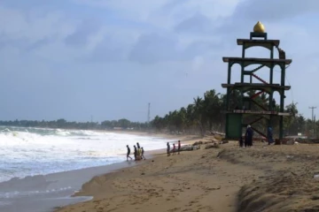 தமிழர் கடற்கரையில் கரையொதுங்கிய அரிவகை மீன்... காண குவிந்த மக்கள்!