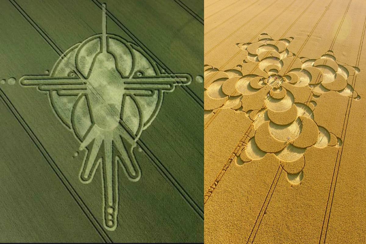 வேற்றுக்கிரகவாசிகள் மேற்கொண்ட Genetic Harvest - மனிதர்களை சந்திக்காதது ஏன்? | Did Aliens Try Genetic Harvest Explained வேற்றுக்கிரகவாசிகள் மேற்கொண்ட Genetic Harvest - மனிதர்களை சந்திக்காதது ஏன்? | Did Aliens Try Genetic Harvest Explained