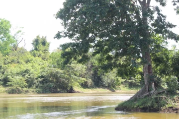 மட்டக்களப்பு நீர்நிலை ஒன்றிலிருந்து ஆண் ஒருவரின் சடலம் மீட்பு