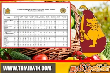 அரசாங்கம் வெளியிட்டுள்ள விலைப்பட்டியல்!