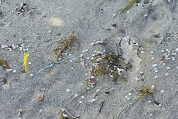 மன்னார் கடற்கரையோரங்களில் மீண்டும் கரையொதுங்கும் பிளாஸ்டிக் துகள்கள் | Plastic Particles Washing Up Again Mannar Beaches மன்னார் கடற்கரையோரங்களில் மீண்டும் கரையொதுங்கும் பிளாஸ்டிக் துகள்கள் | Plastic Particles Washing Up Again Mannar Beaches