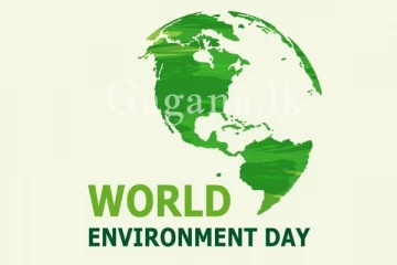 ජගත් පරිසර දිනය අදයි..
