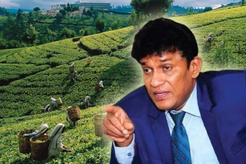 ஒதுக்கப்பட்டவர்களாக மலையக தமிழ் மக்கள்: சபையில் மனோ கணேசன் விசனம்