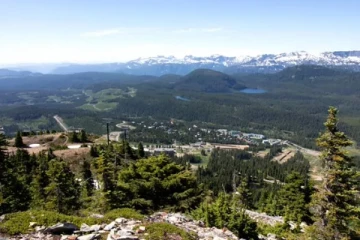 பெற்றோர் கண் முன்னே 3 வயது சிறுமிக்கு நேர்ந்த துயரம்: வான்கூவர் தீவில் சம்பவம்