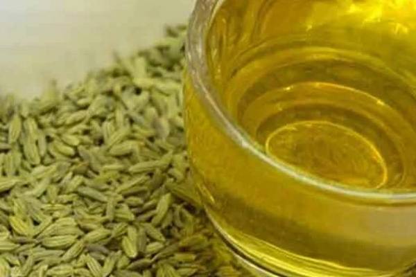 வெறும் வயிற்றில் ஒரு டம்ளர் சீரக தண்ணீர்... உடலில் நடக்கும் மாயாஜாலம்! | Amazing Health Benefits Of Fennel Seeds Water