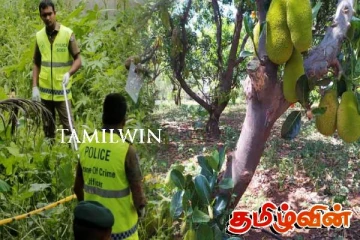 பலா மரத்தை வெட்டிய தந்தைக்கு அருகில் நின்ற மகன் பரிதாப மரணம்