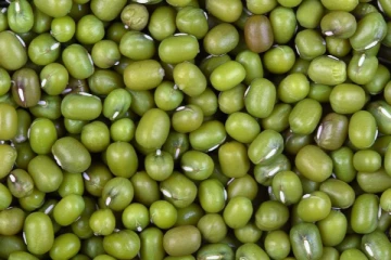 12 மணி நேரம் தண்ணீரில் ஊறவைத்த பயறை உணவில் அடிக்கடி சேர்த்து கொள்ளலாமா? என்ன நடக்கும் தெரியுமா?