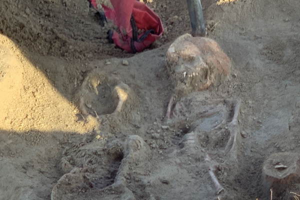 செம்மணியில் மேலும் 4 புதிய எலும்புத் தொகுதிகள் அடையாளம் | Chemmani Mass Grave