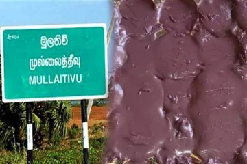 தமிழர் பகுதியில் மேற்கொள்ளப்பட்ட புதிய முயற்சிக்கு கிடைத்துள்ள வெற்றி