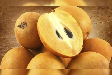 தினமும் இந்த பழம் சாப்பிட்டால் இதய நோய் வராது! மாரடைப்புக்கு குட் பை சொல்லலாம்