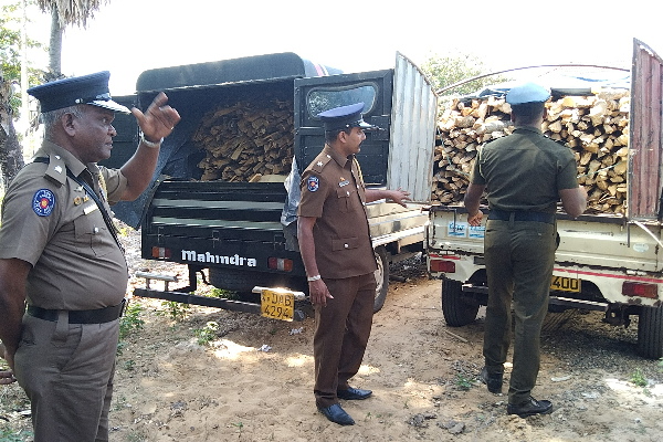 அனுமதியின்றி சட்டவிரோத செயலில் ஈடுபட்ட பலர் கைது (Photos) | Drivers Arrested Eight Vehicles Firewood