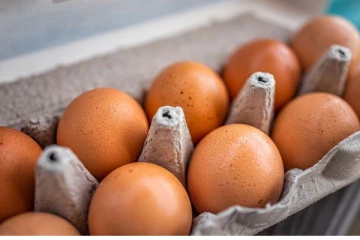 வரலாற்றில் முட்டை விலை குறைந்த நத்தார் பண்டிகை