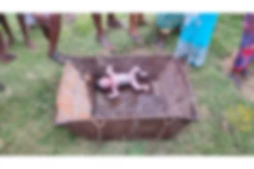 கிணற்றில் சடலமாக கிடந்த பெண் சிசு - தூக்கி வீசி சென்ற கொடூர தாய்?