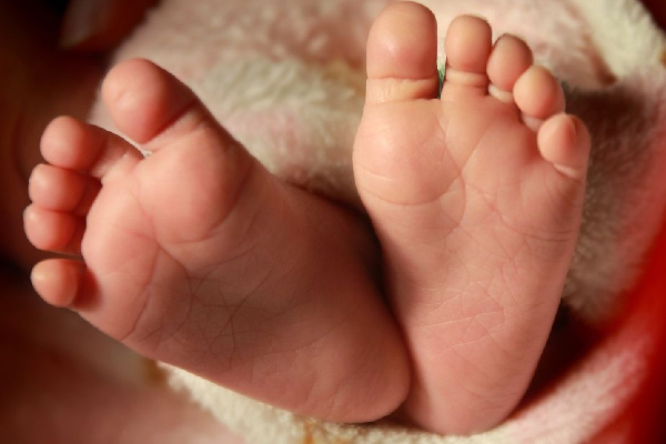 யாழில் குடும்பத்தையே நிலைகுலைய வைத்த சம்பவம் ; பரிதாபமாக பிரிந்த உயிர் | Incident Shakes Family In Jaffna