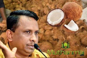 தேங்காய் நெருக்கடிக்கு தீர்வு: விவசாயிகளுக்கு வெளியான அறிவிப்பு