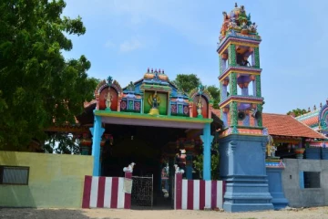 யாழ்ப்பாணத்தில் 250,000 ரூபாவுக்கு ஏலம் போன மாம்பழம்