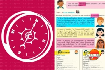 සමලිංගික වෙබ් අඩවියක් ගැන ප්‍රශ්නයක් නෙවෙයි මේ..ඉල්ලා අස්වෙන්න ඕනෑ..හරිනි අමරසූරියට ලිඛිතව දැනුම් දුන්නා - අමිල