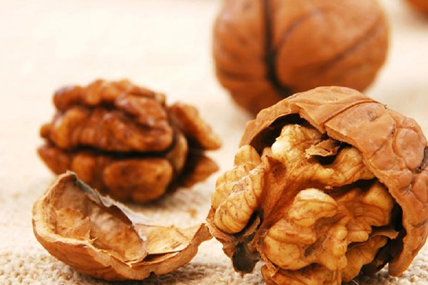 உடல் ஆரோக்கியத்தை காக்கும் சில உணவுகள் | Some Foods That Keep The Body Healthy