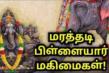 பிரமிப்பூட்டும் மரத்தடி பிள்ளையார் வழிபாடு