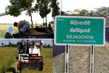 நெல் விற்பனை தொடர்பில் கவலை வெளியிட்டுள்ள கிளிநொச்சி விவசாயிகள்