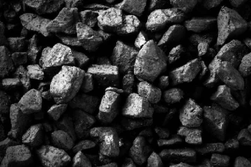 2009 සිට ගල් අඟුරු මිලදී ගැනීම් විමර්ශනයට ජනතාවගෙන් තොරතුරු කැඳවයි